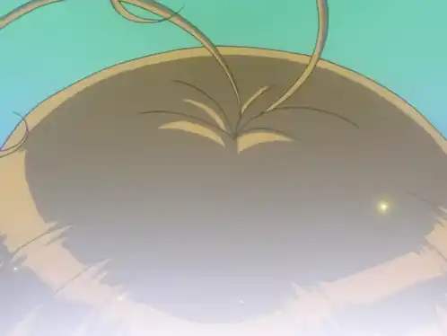 Corrector Yui Transformation