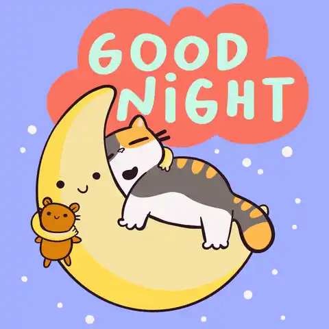 Good Night Cat Sleeping on Moon