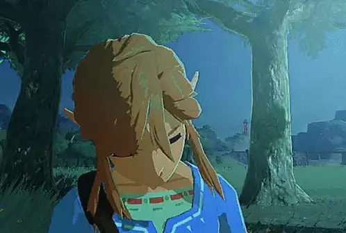 Link from Zelda: Cute & Sleepy