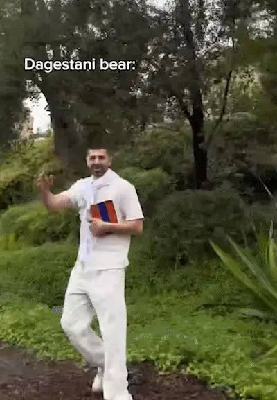 dagestani bear running