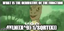 Derivative Calculus Yee Meme
