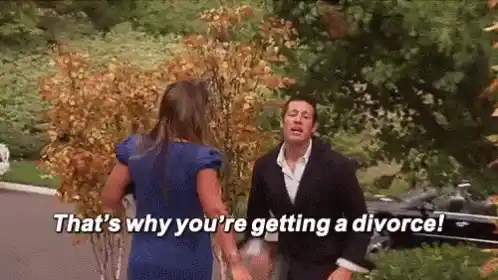 That's Why You're Getting a Divorce!