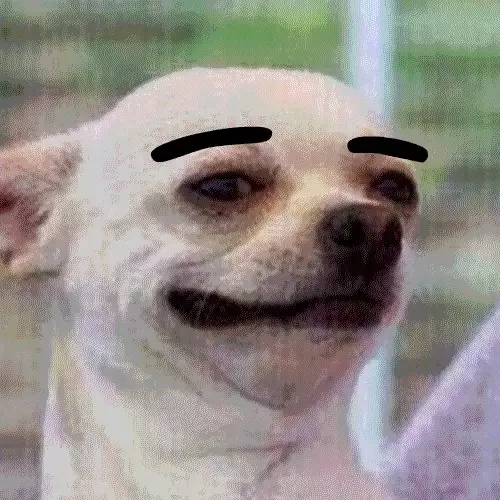 Funny Dog Eyebrow Raise