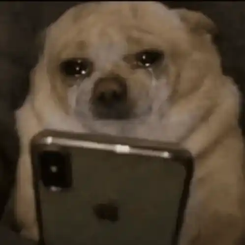 Dog Scroll