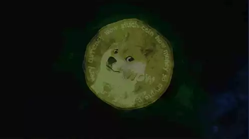 Doge Coin Doge