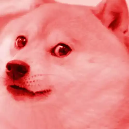 Doge Rainbow