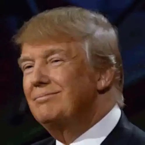 Donald Trump Winks and Smiles