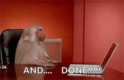 Monkey Throws Laptop: Done So Done