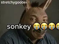 Donkey Nezeki