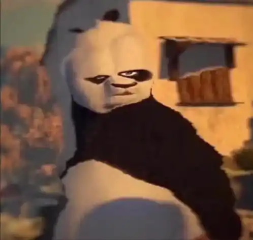 Angry Dragon Warrior Kung Fu Panda