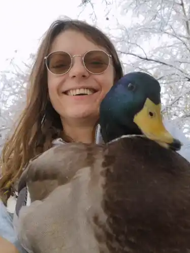 Chichimallard's Playful Duck Bite