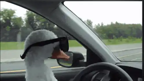 Duck with Sunglasses: Problem?