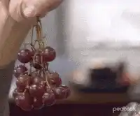 Dwight Schrute The Office Grapes Thats What She Said Dwight Schrute Grapes