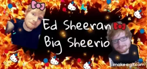 Ed Sheeran & Big Sheerio Fan Art