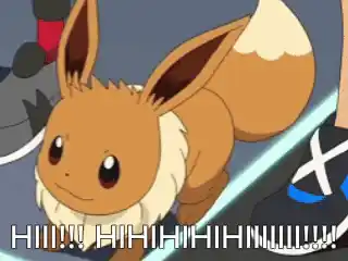 Excited Eevee Says Hi