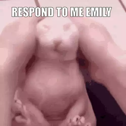 Emily Respond To Me Emily - Bingus Cat Meme