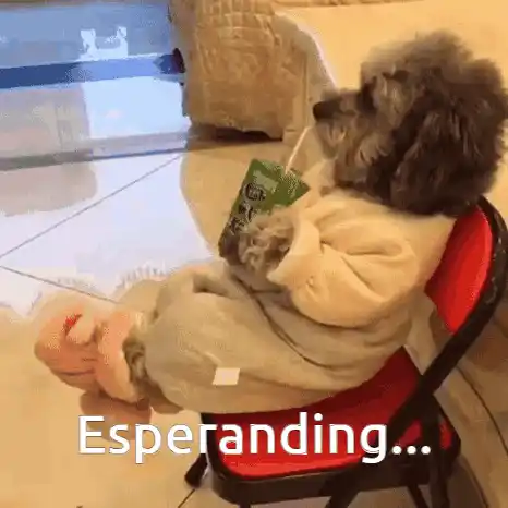 Perro Esperanding: Bebiendo Jugo