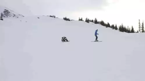 Eurocarve Snowboarding on Snowy Mountain