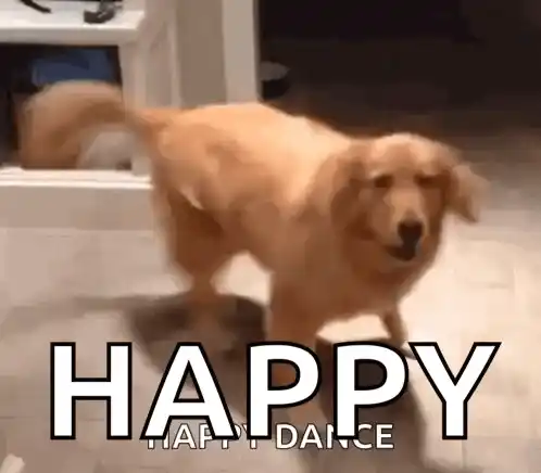 Excited Dog