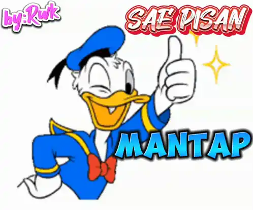 Familyrwk Rwkr: Donald Duck Mantap!