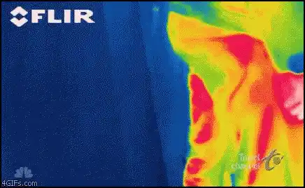 Thermal Camera Fart Gas Detection