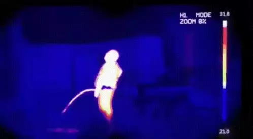 Urination in Thermal Vision