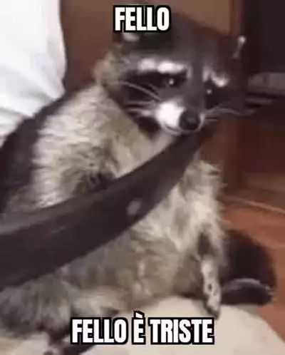 Fello è triste