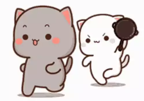 Cute Cats Playful Chase