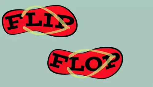 Flipflop Flop Graphic