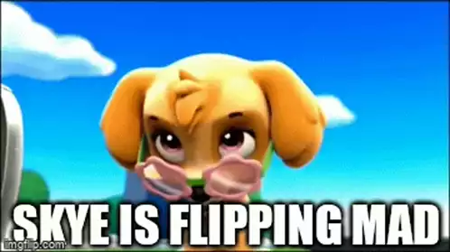 Flipping Mad