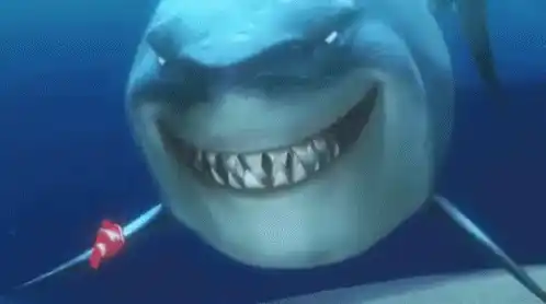 Food Shark with Nemo