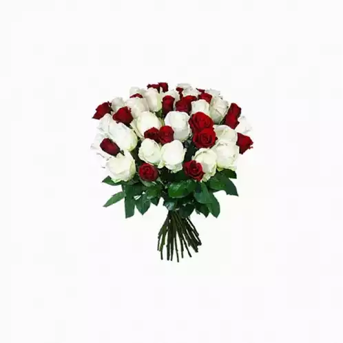 Friendly Bouquet of Roses