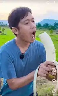Man Eats Giant Banana Fruit