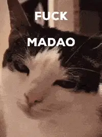 Fuck MADAO