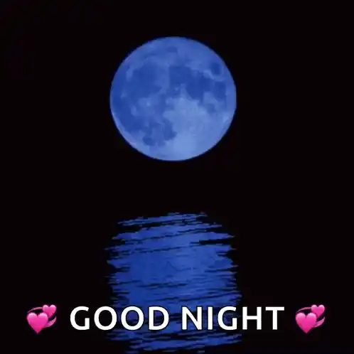 Good Night Full Moon