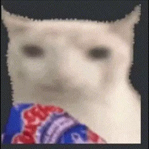 Funny Cat Eating Chips