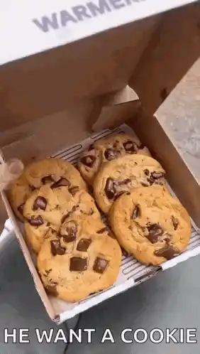 He Want A Cookie: Funny Chocolate Chip Cookies