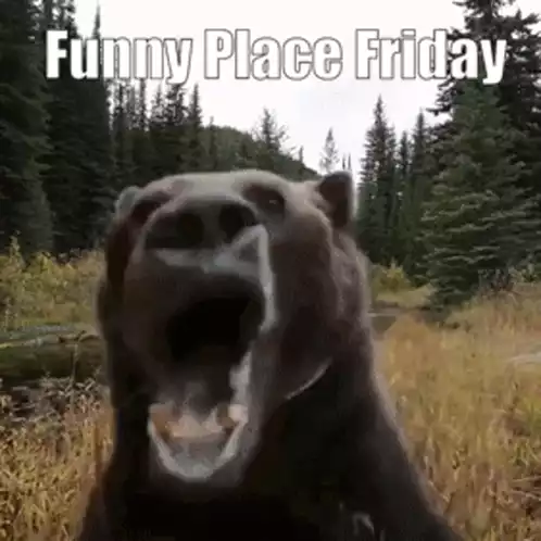 Funny Place Friday: Bear & Laughing Man