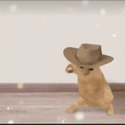 Gato Ranchero Bailando Gato Naranja Bailando