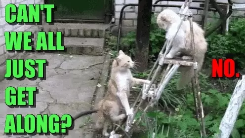 Get Along Cant We Get Along