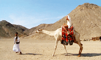 Egypt GIF