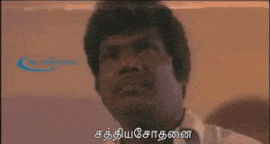 scoion GIF