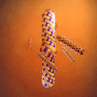 Loop Visuals GIF by xponentialdesign