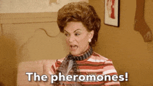 amy sedaris pheromones GIF by truTV’s At Home with Amy Sedaris