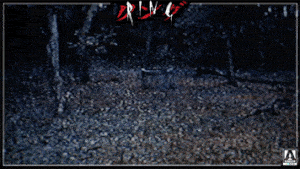 the ring film GIF by Arrow Video