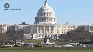 now this news gop GIF