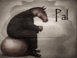 Horse Bro GIF