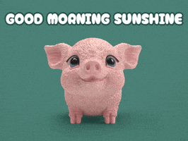 Happy Good Morning GIF by schleich®