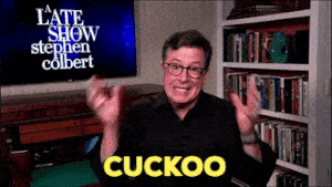 Stephen Colbert Cuckoo GIF by The Late Show With Stephen Colbert