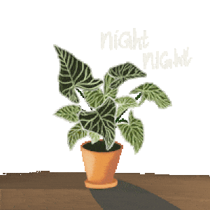 Good Night Sticker